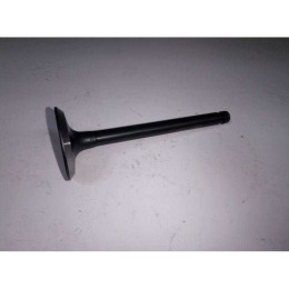 Клапан ГБЦ впускной 7031256