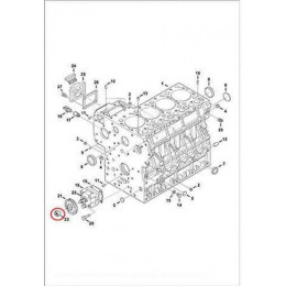 6653888 Гайка шестерні Bobcat 6653888 Гайка шестерні Bobcat