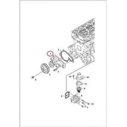 7008449 Насос водяний (без шківа) Bobcat 7008449 Насос водяний (без шківа) Bobcat