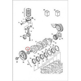 7000616 Шестерня вала колінчастого приводу масляного насоса Bobcat