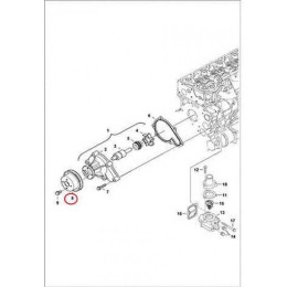 6674169 Шків водяного насоса Bobcat 6674169 Шків водяного насоса Bobcat