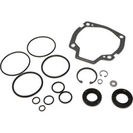 Комплект гідростатичного ущільнення Bobcat, 6677608