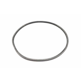 Ремень Bobcat, 7296851 Ремень Bobcat, 7296851