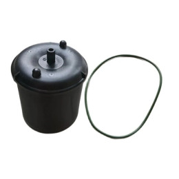 Cross Reference: Cross Reference: